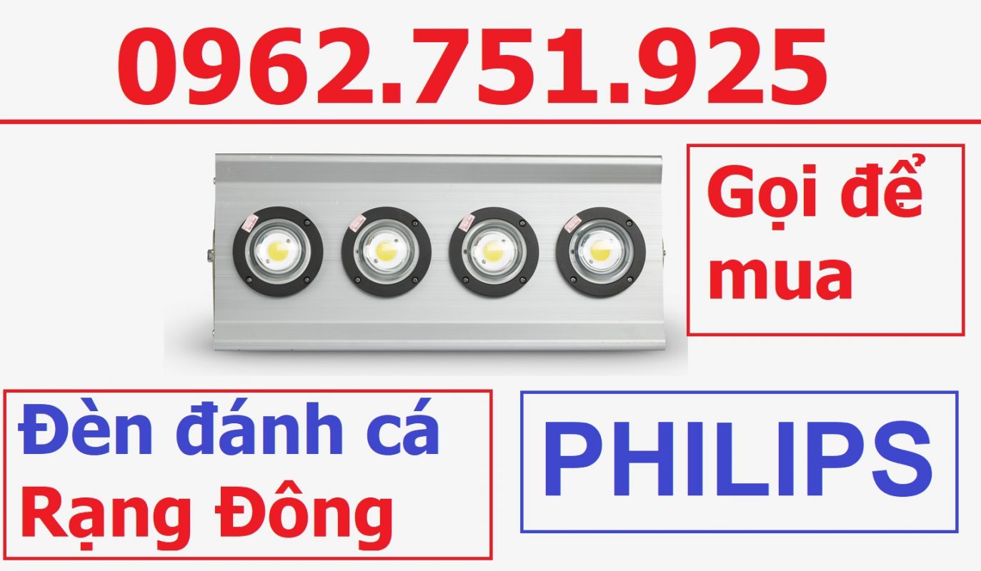 Đèn LED đánh cá Rạng đông cung cấp lượng ánh sáng bằng với một bóng sợi đốt vốn tiêu thụ điện năng hơn gấp nhiều lần