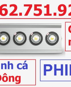 Đèn LED đánh cá Rạng đông cung cấp lượng ánh sáng bằng với một bóng sợi đốt vốn tiêu thụ điện năng hơn gấp nhiều lần