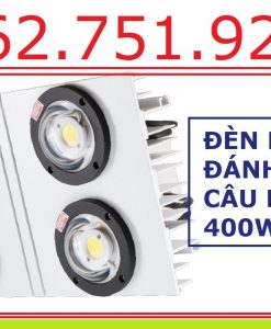 Đèn LED đánh cá Rạng Đông bảo vệ sức khỏe người sử dụng, chuyên cấp toàn tỉnh Bạc Liêu