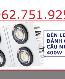 Đèn LED đánh cá Rạng Đông sử dụng điện áp 220V chuyên bán tại các tỉnh Nam Định, Ninh Bình, Thanh Hóa, Nghệ An