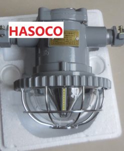 Đèn led chống cháy nổ DGS18 127L