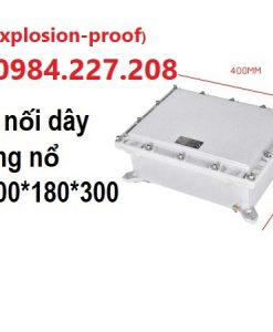 Hộp nối dây, tủ điện phòng chống cháy nổ Exd