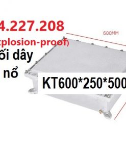 Hộp nối dây, tủ điện phòng chống cháy nổ Exd