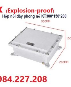 Hộp nối dây, tủ điện phòng chống cháy nổ Exd
